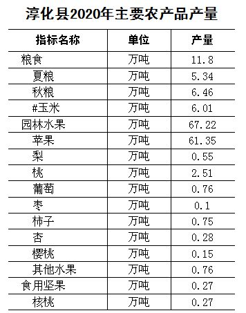 第一期-2020年淳化县国民经济和社会发展统计公报(1)574.png