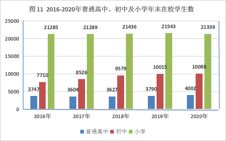 图片11